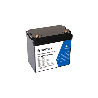 kopen ODM 12V LiFePO4 batterij Lithium ijzerfosfaatbatterijen vervanging online manufacture